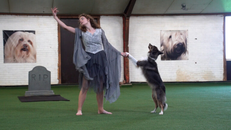 Dansende honden stelen de show tijdens NK Dogdance in Oosterzee