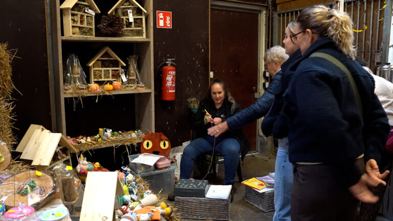 Pompoenmarkt in Oudemirdum draait om het werk van cliënten